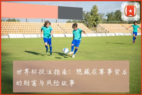 世界杯投注指南：隐藏在赛事背后的财富与风险故事