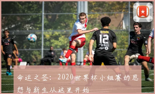 命运之签：2020世界杯小组赛的恩怨与新生从这里开始