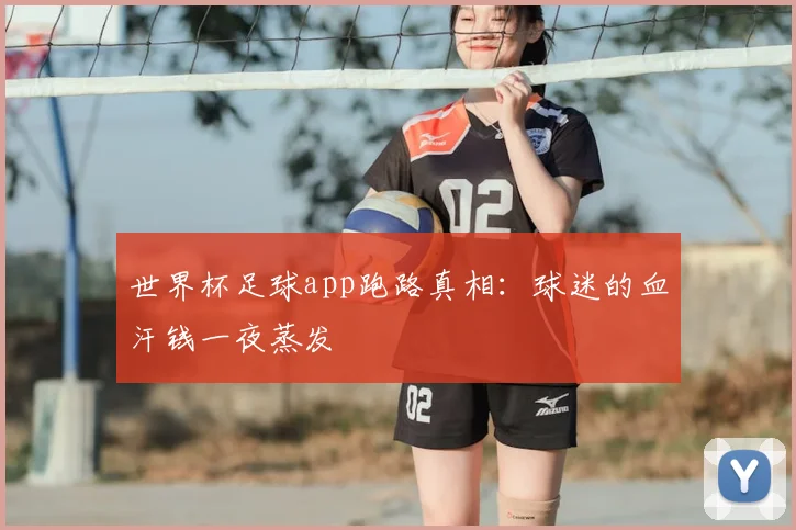 世界杯足球app跑路真相：球迷的血汗钱一夜蒸发