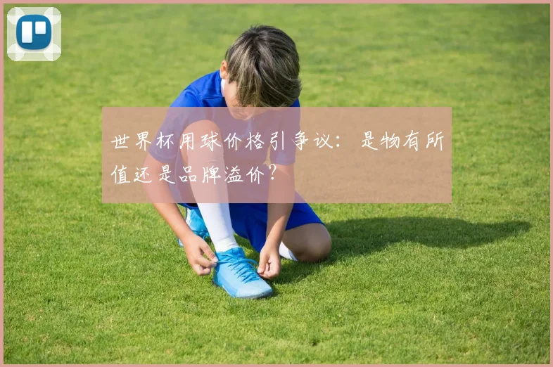 世界杯用球价格引争议:是物有所值还是品牌溢价?