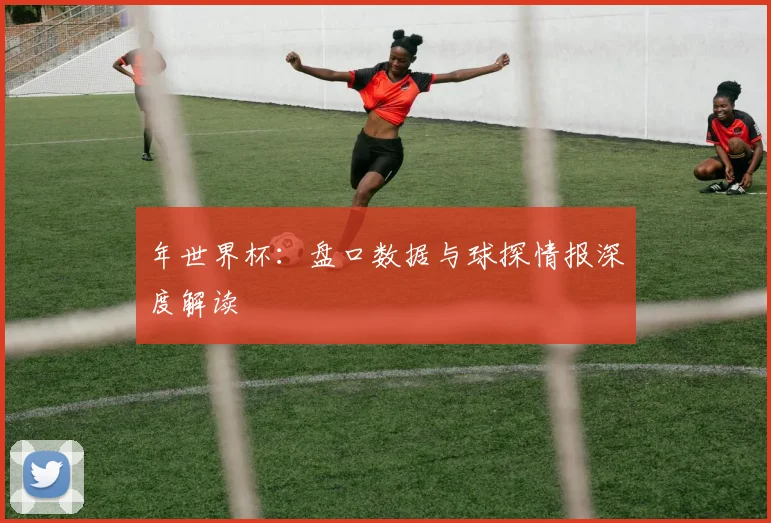 年世界杯:盘口数据与球探情报深度解读