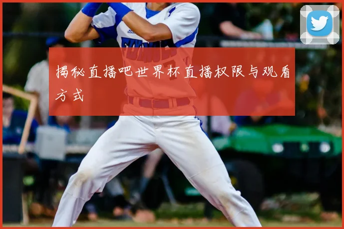 揭秘直播吧世界杯直播权限与观看方式