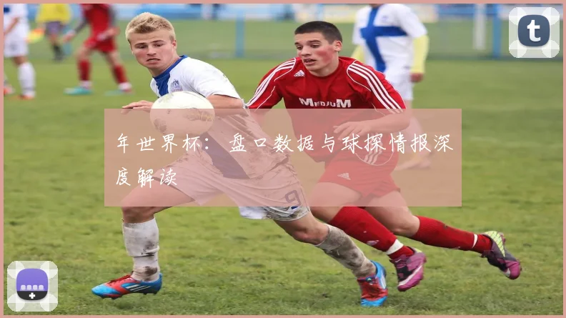 年世界杯:盘口数据与球探情报深度解读