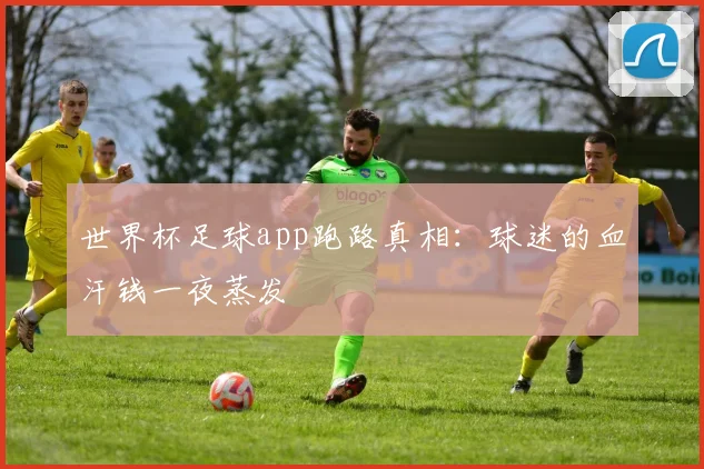 世界杯足球app跑路真相：球迷的血汗钱一夜蒸发